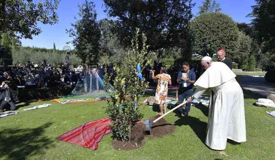 La preocupación del Papa: Hablar de conversión ecológica con budistas